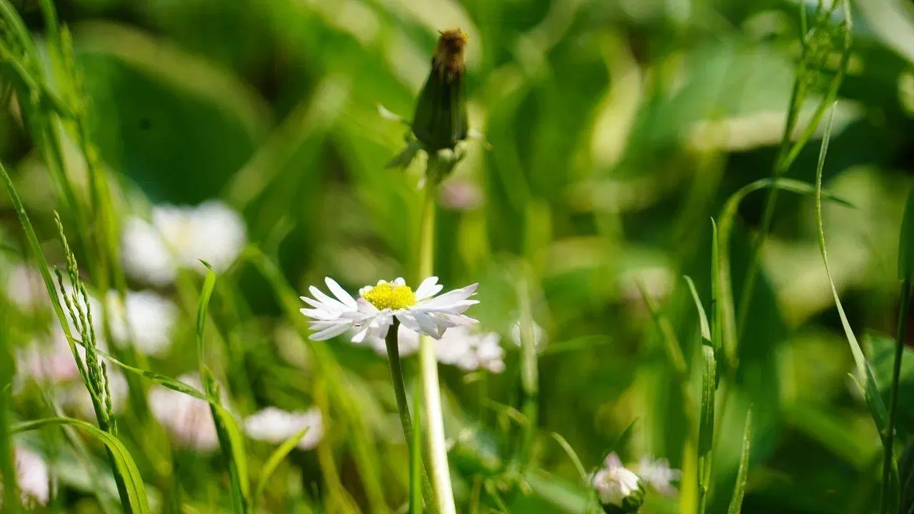 REGIONS/Наталия Надточая