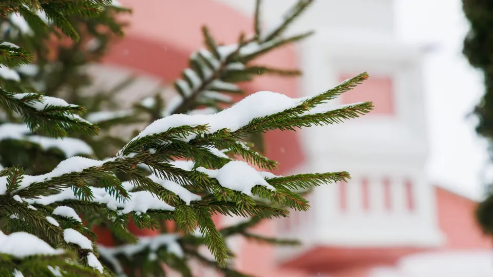 Фото: пресс-служба городского округа Кашира