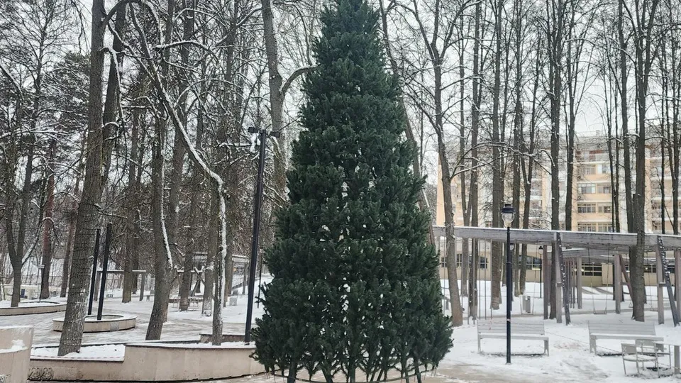 Фото: Хавива Фонина