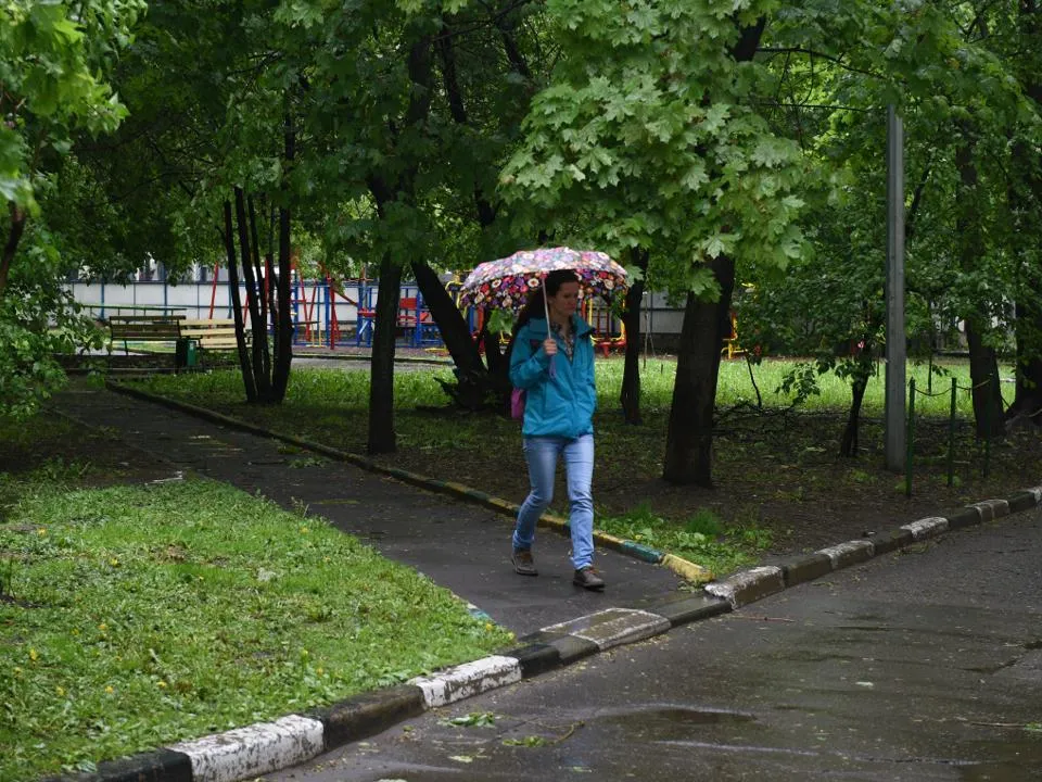 Похолодание до +6: стало известно, какой будет погода в Москве и Подмосковье на неделе с 17 по 20 июня
