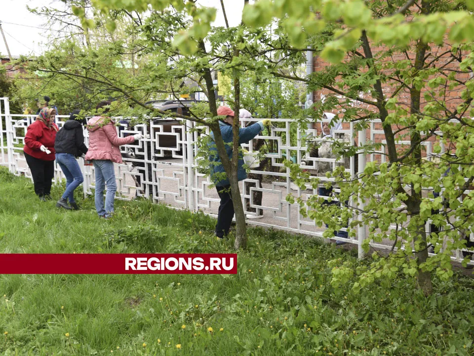Фото: Владимир Останин