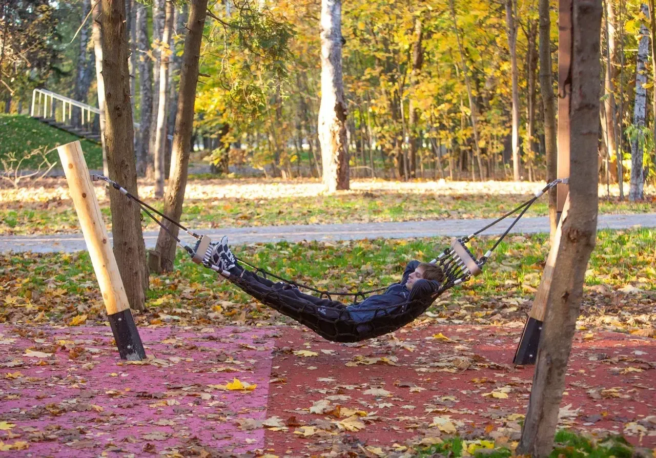 Фото: Министерство благоустройства Московской области