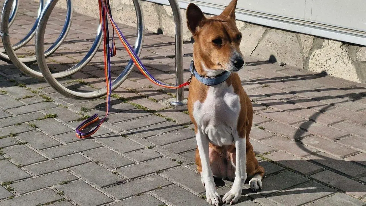 REGIONS/Наталия Надточая