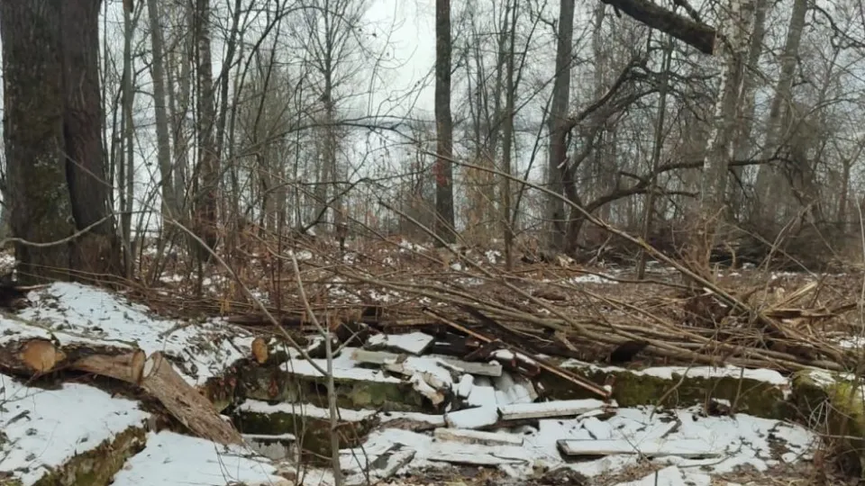 Фото: пресс-служба администрации г.о. Солнечногорск