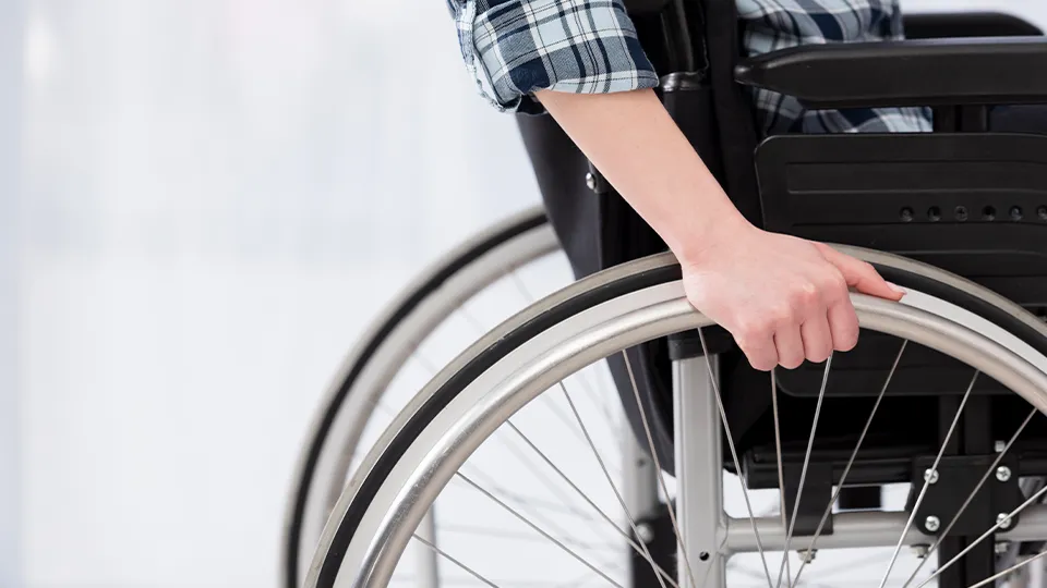 Фото: freepik.com