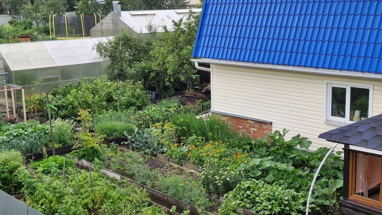 REGIONS/Наталья Надточая