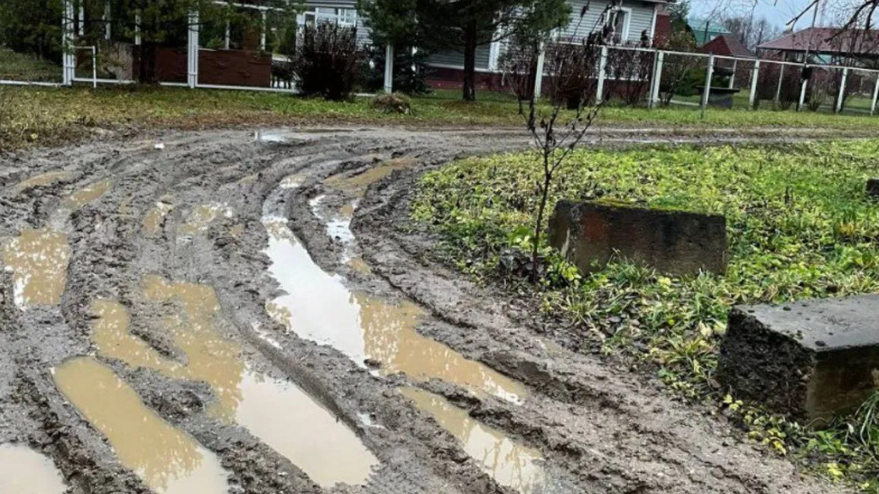 Фото: предоставлено пользователем