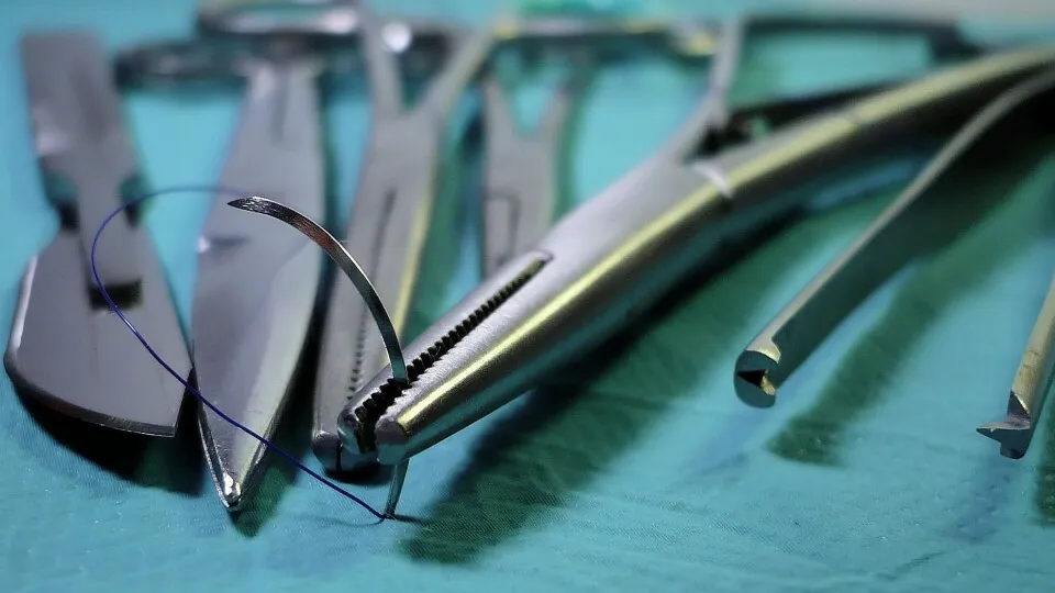 Фото: pxhere.com