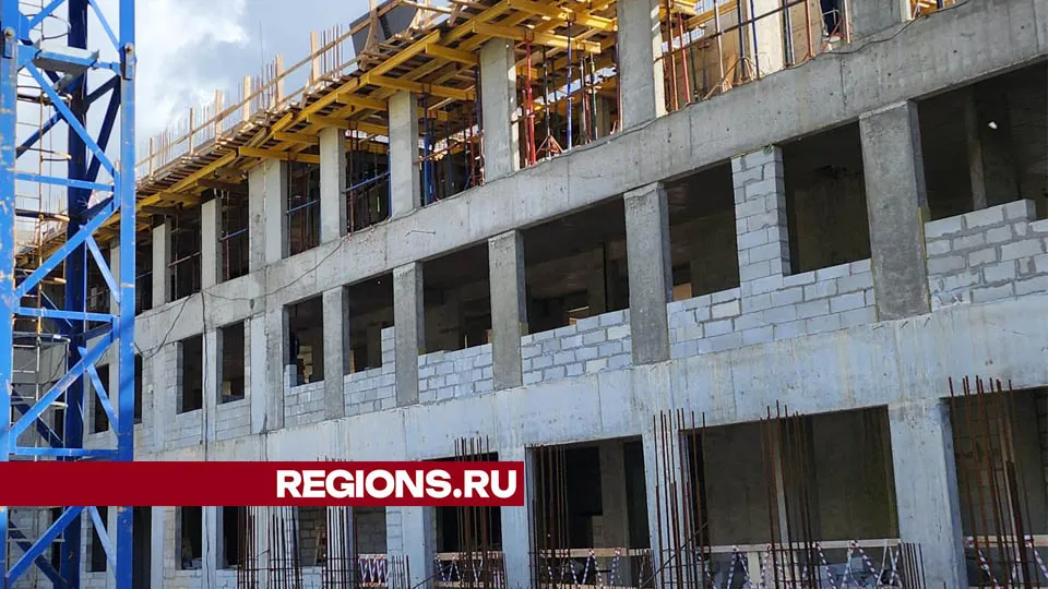 Фото: Валерия Тингаева