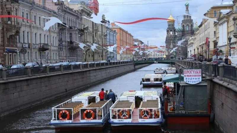 Невские Новости / Мурашова Кристина