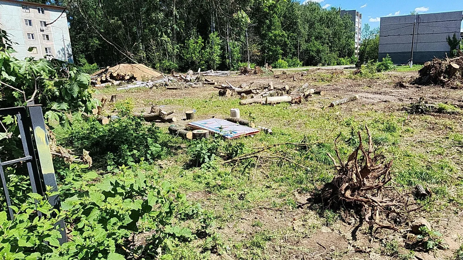 Фото: Нина Басистая