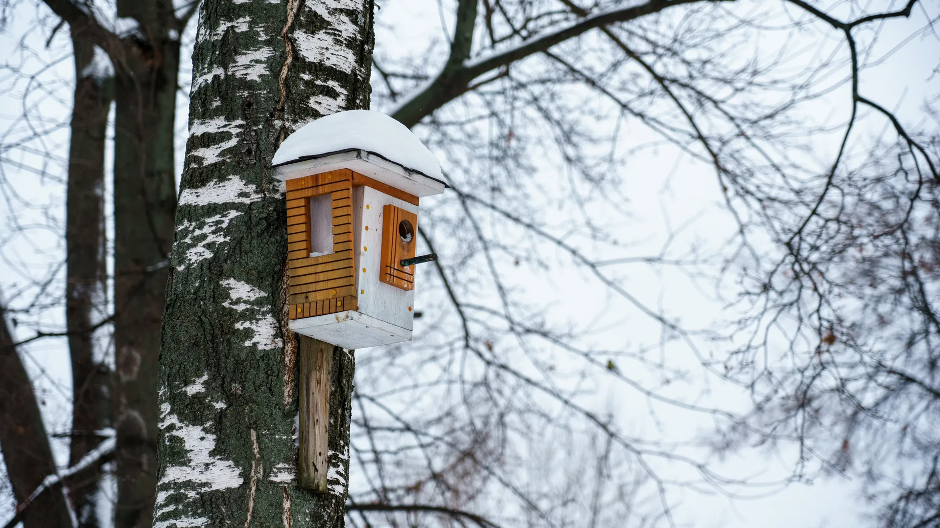 медиасток.рф