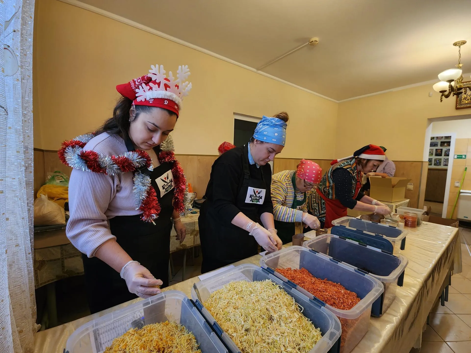 Фото: Ксения Пашуто