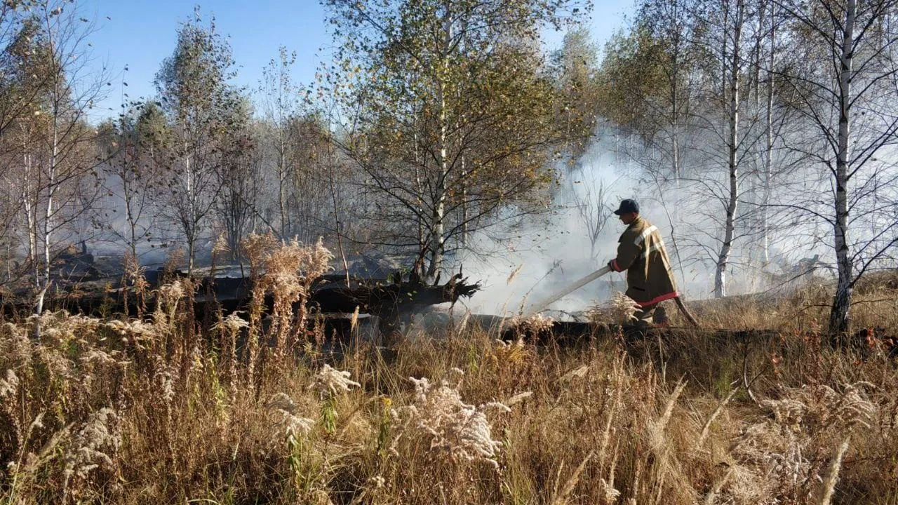 В подмосковных лесах сохранится пятый класс пожарной опасности