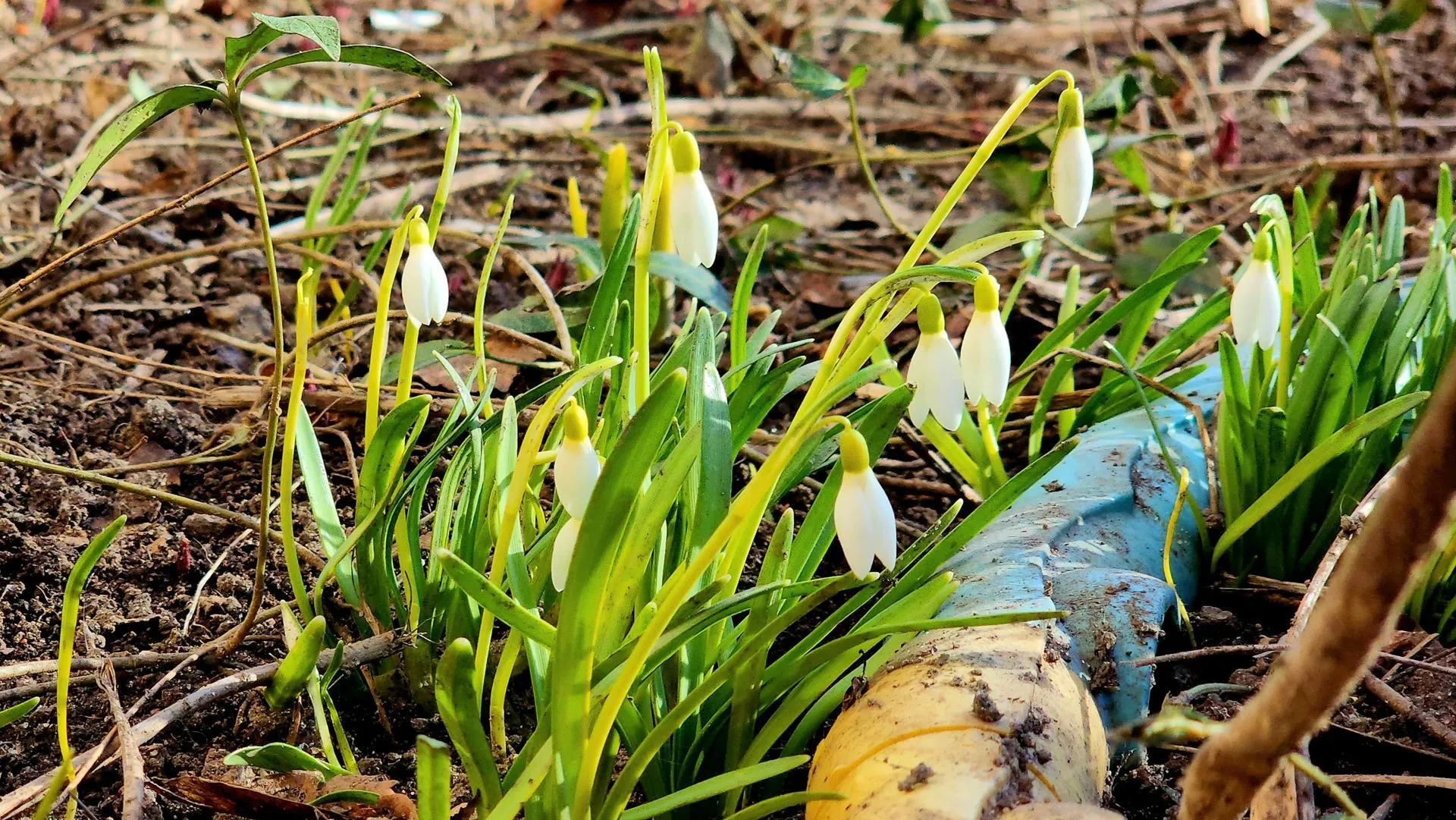 REGIONS/Роман Кутузов