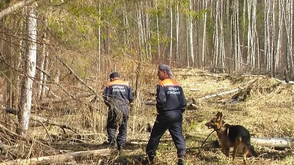 Трое детей в Солнечногорском районе сбежали от бабушки в поход