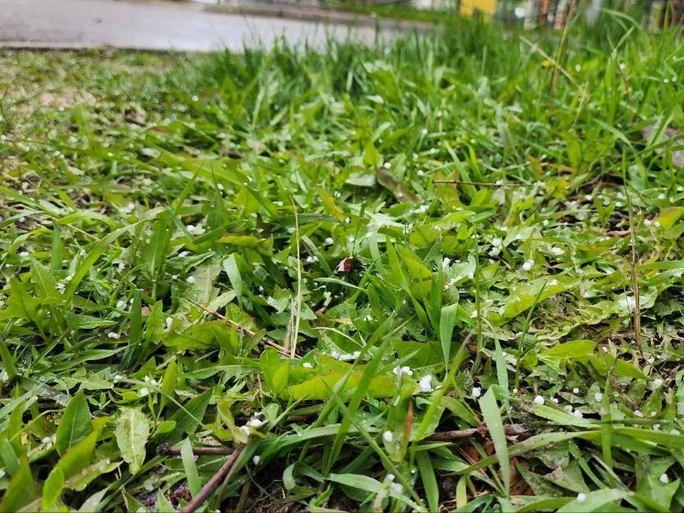 Фото: Наталья Лымарь