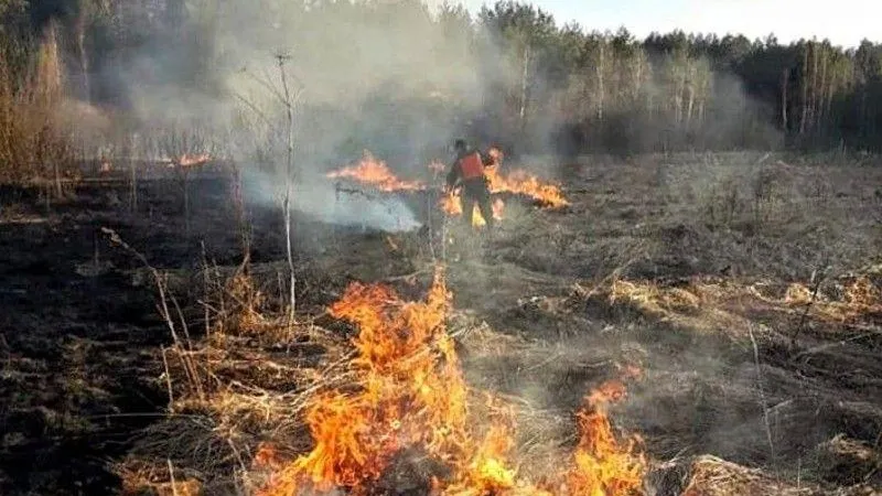 Шесть лесных пожаров ликвидировали в Подмосковье за три майских дня