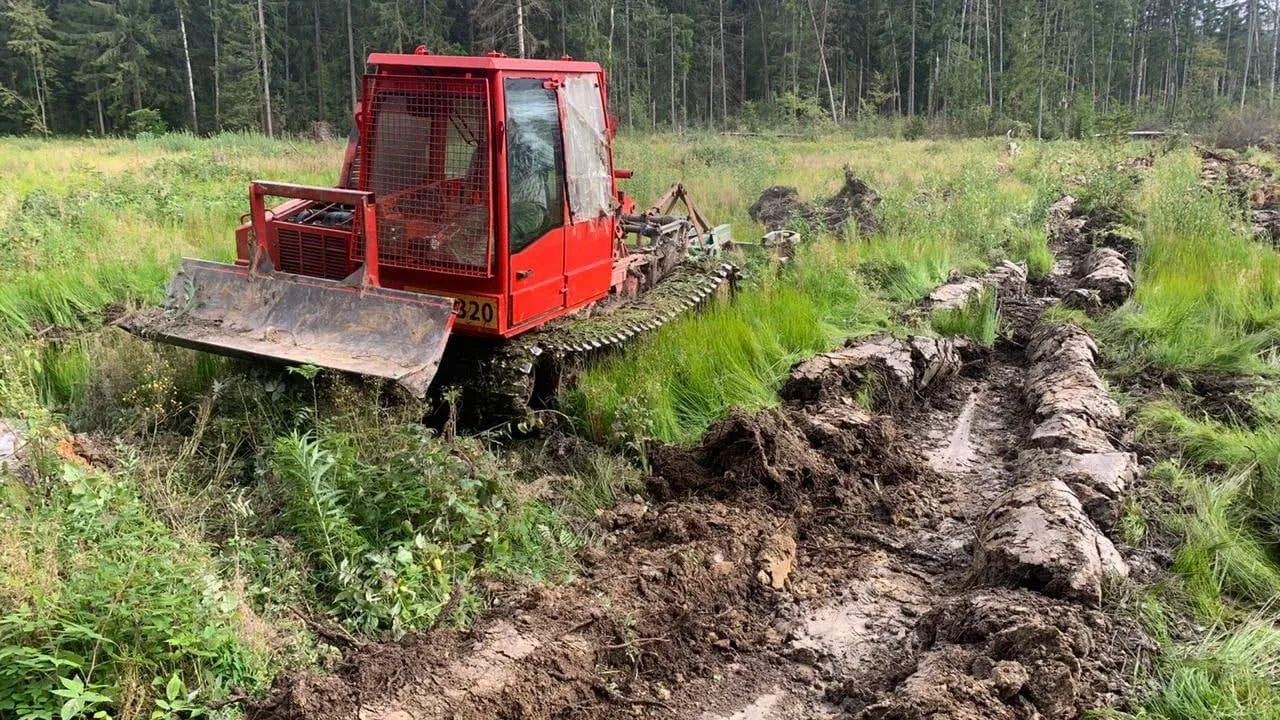 Комитет лесного хозяйства Московской области