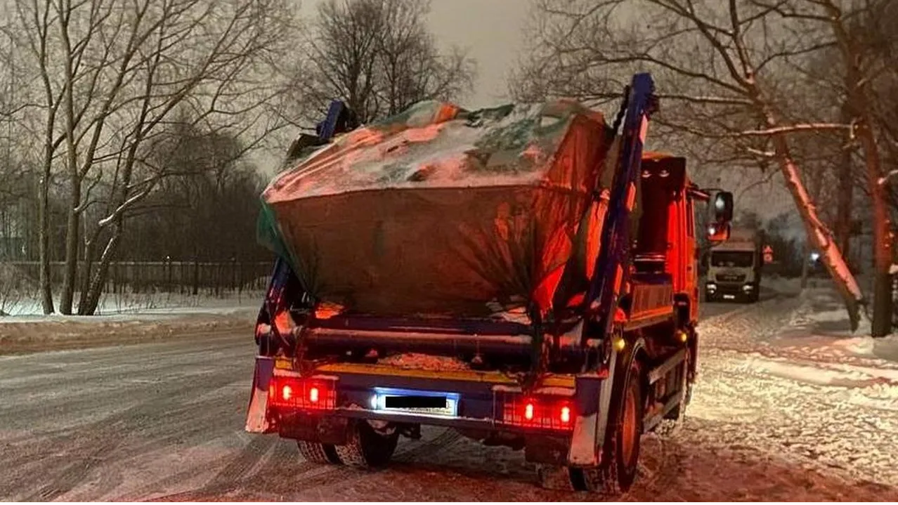 Фото: Пресс-служба министерства экологии и природопользования Московской области