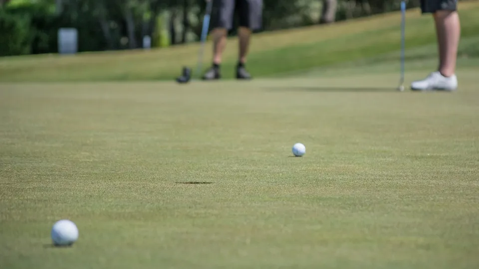 Фото: pxhere.com