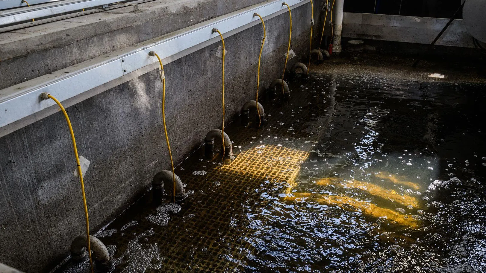 Фото: медиасток.рф