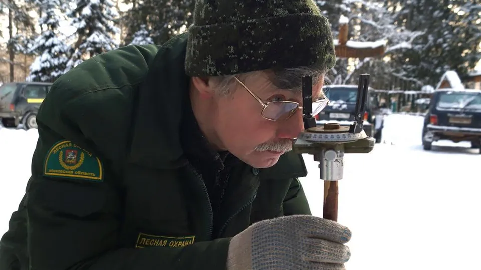 Фото: Комитет лесного хозяйства МО