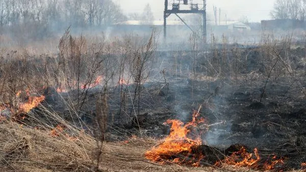 Виталий Белоусов / РИА Новости