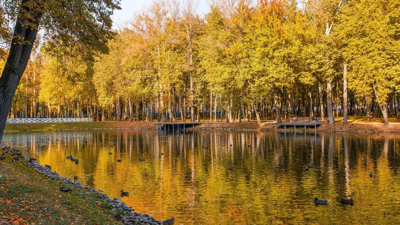 Фото: медиасток.рф