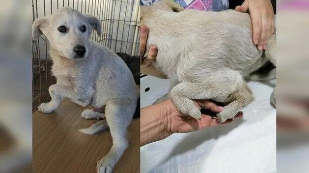 Фото: соцсети