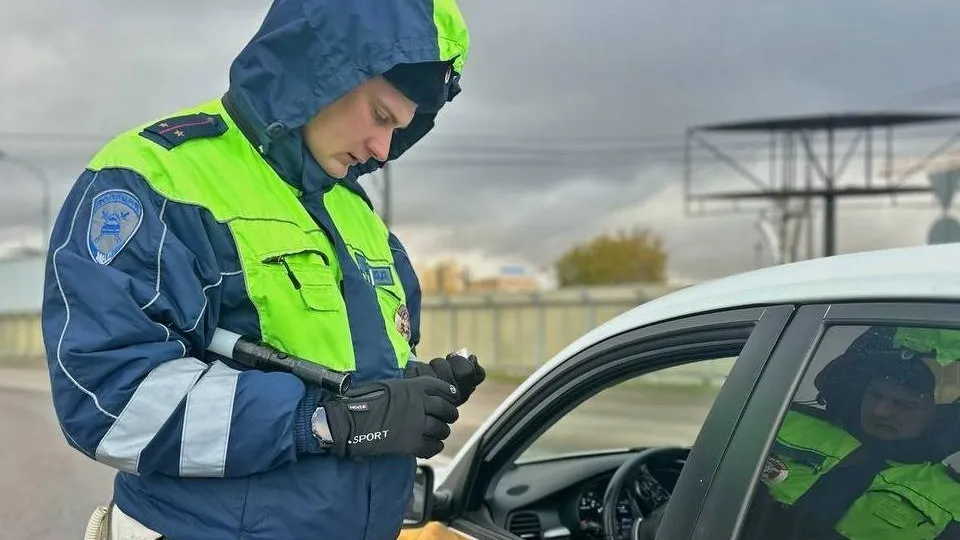 Фото: t.me/gibdd50mo