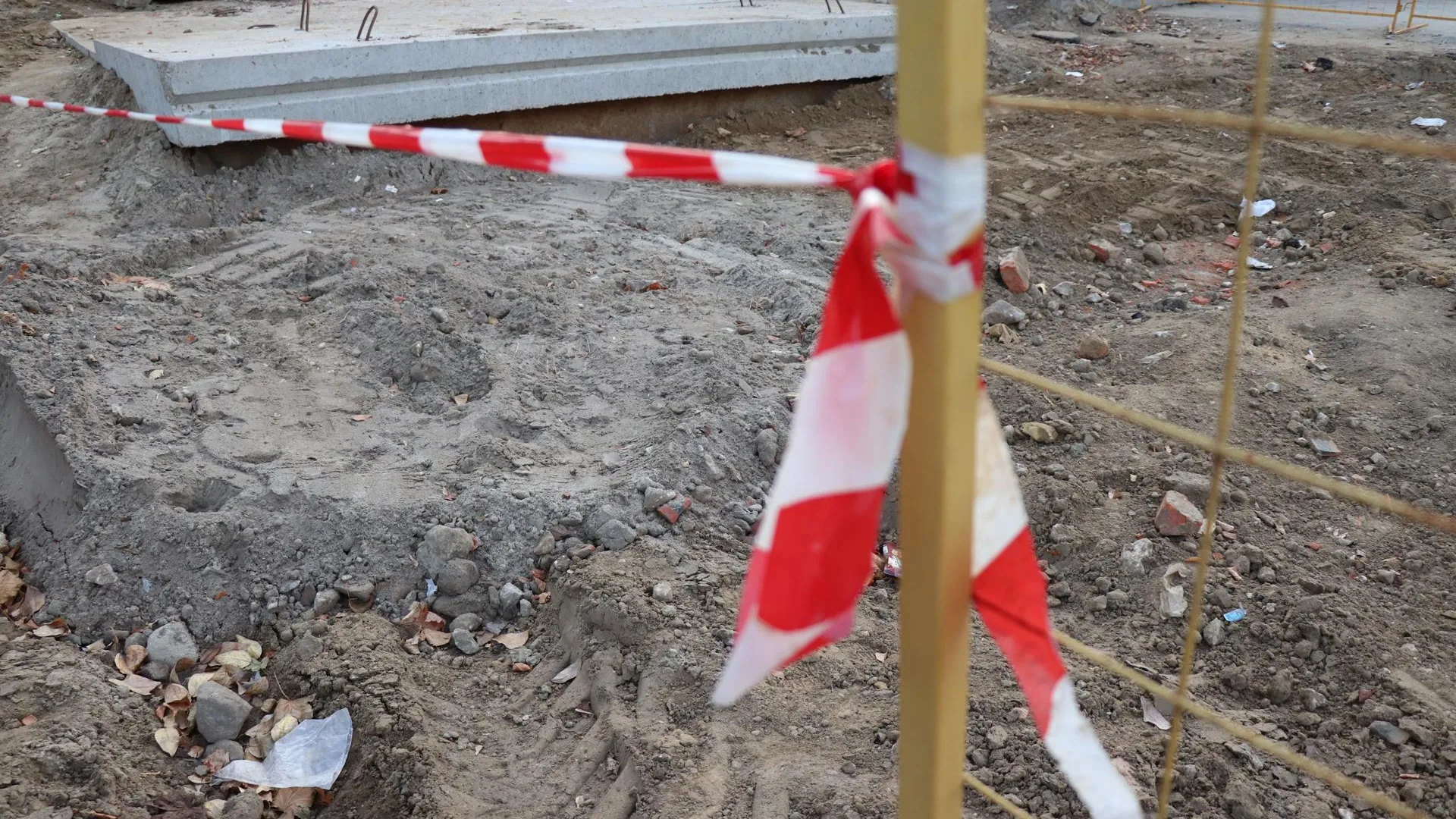 Фото: Василий Тремасов