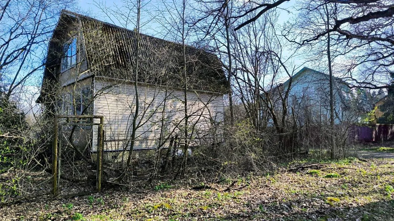 Картинка