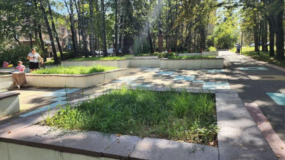 Фото: Мария Панина