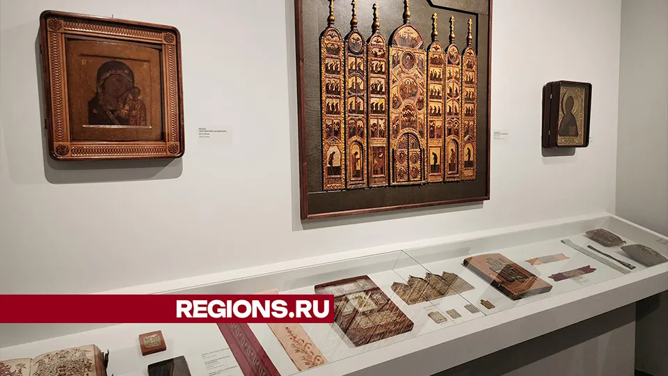 Фото: REGIONS/Александр Степушкин