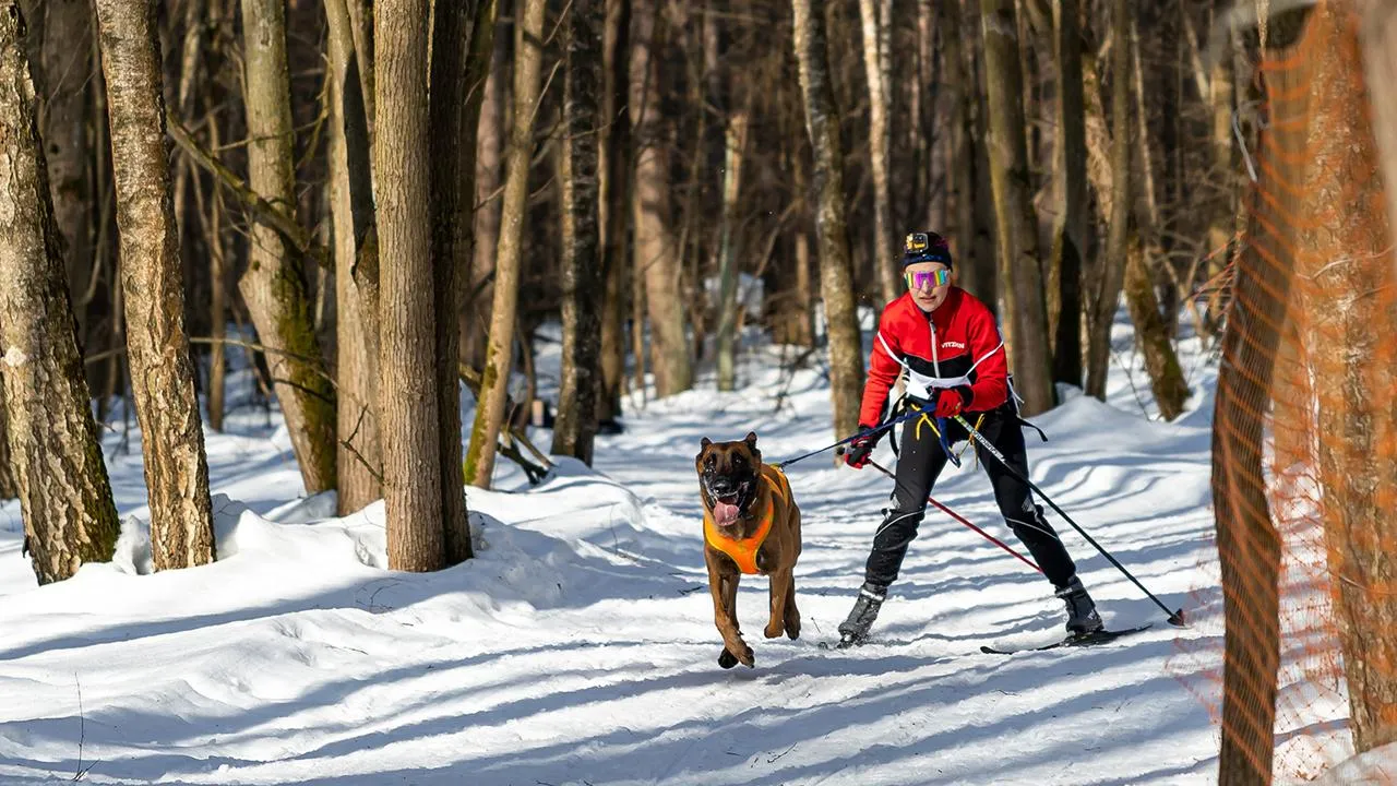 Юлия Козлова
