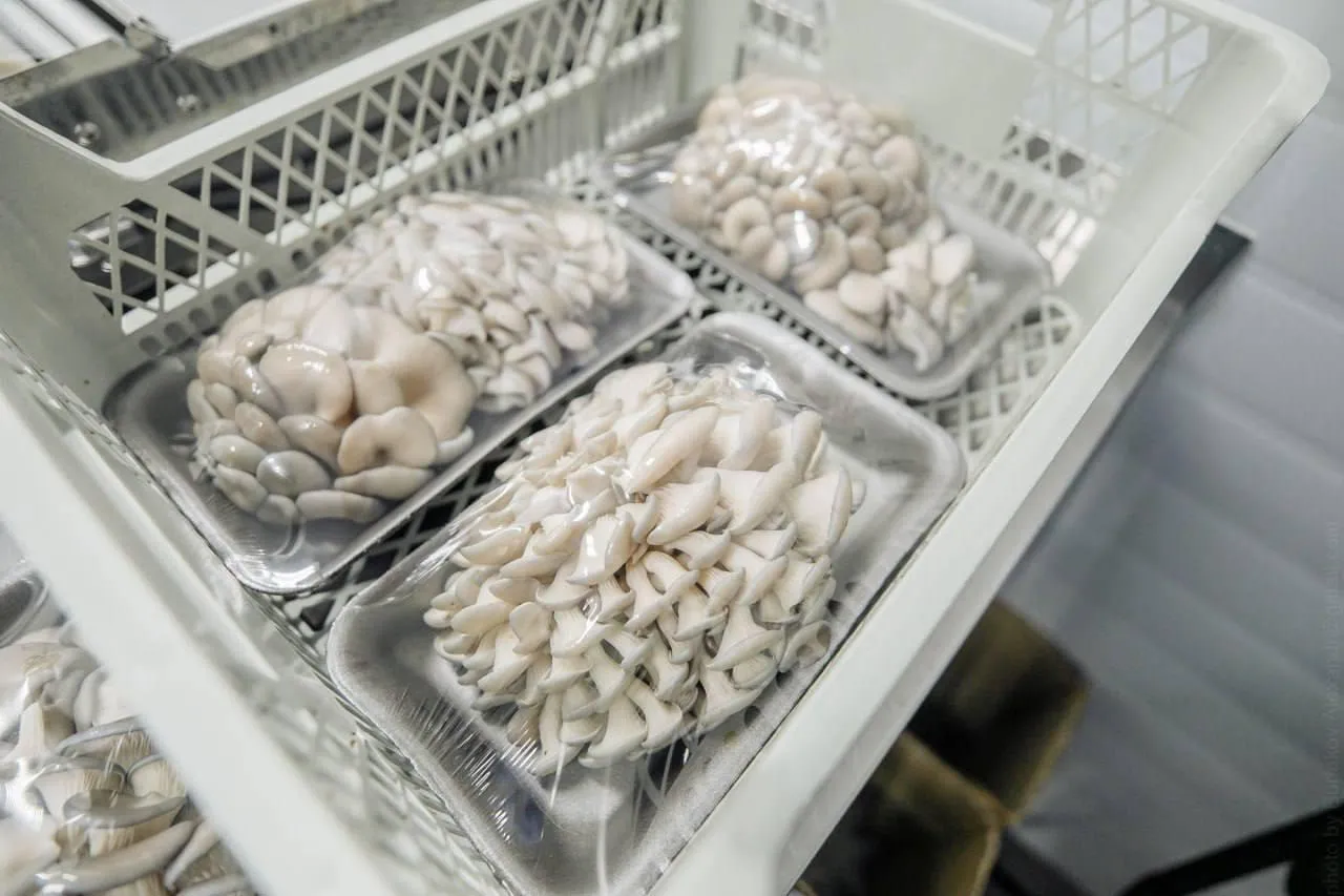 Фото: пресс-служба Минсельхозпрод МО