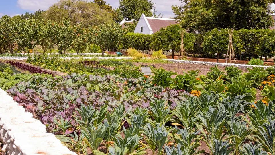 Фото: unsplash.com