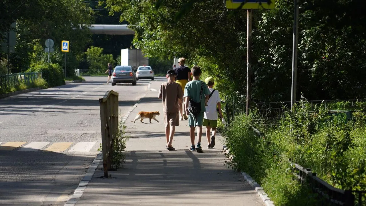 Фото: пресс-служба администрации г.о.Котельники