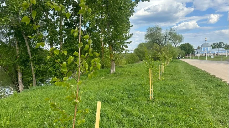 Фото: Светлана Плотникова