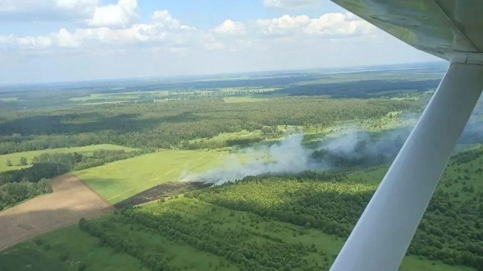 Фото: Комитет лесного хозяйства Московской области