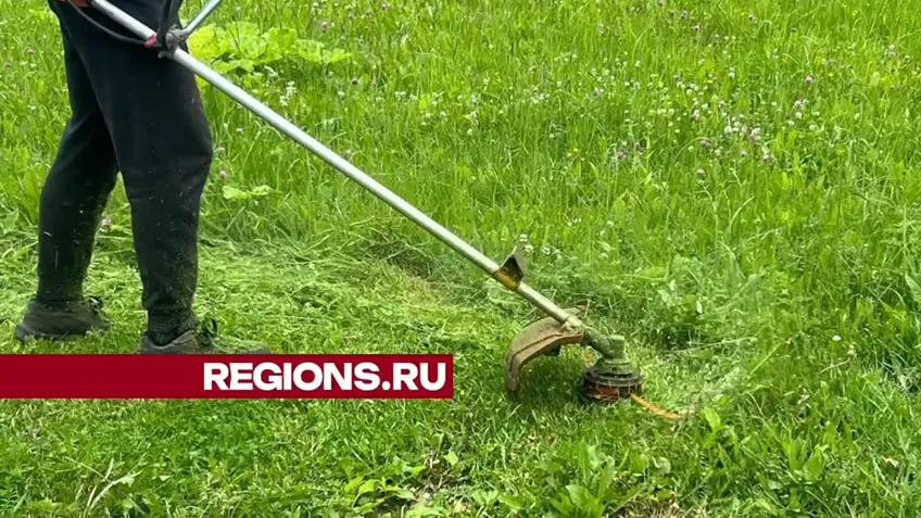 Фото: Ксения Афонина