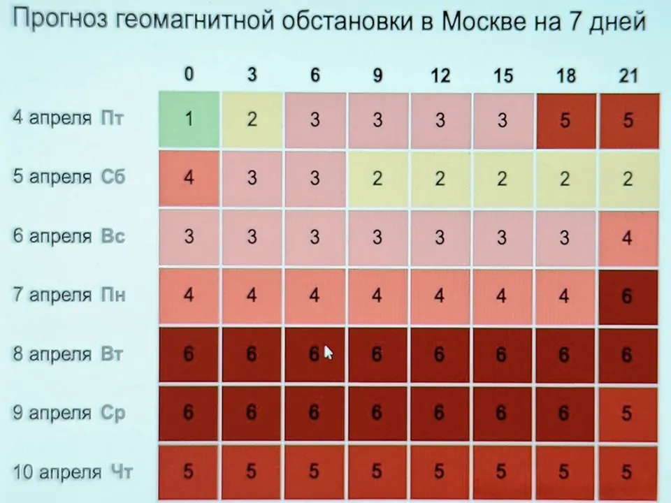 Фото: REGIONS/Алексей Селиверстов