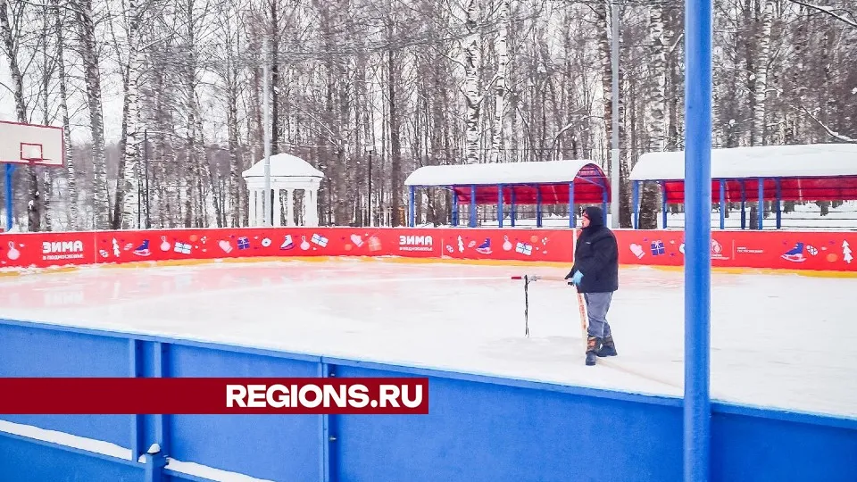 Фото: МедиаБанк Подмосковья/Данила Кирьянов