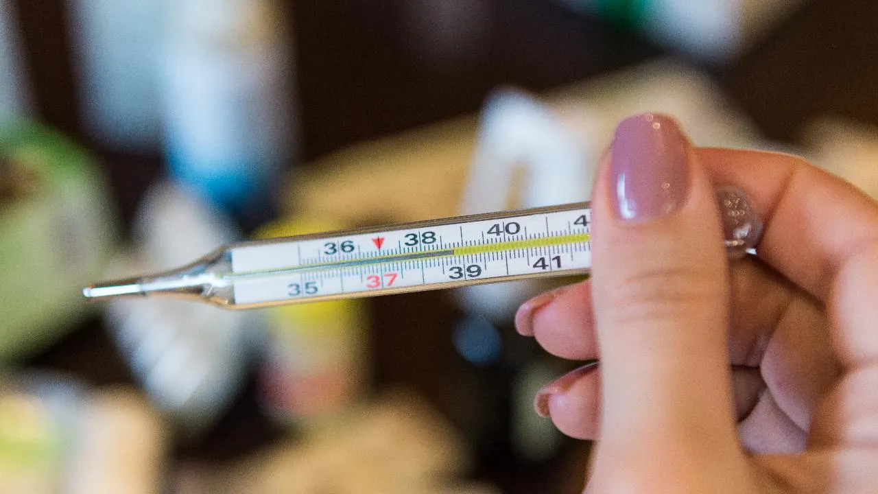 медиасток.рф