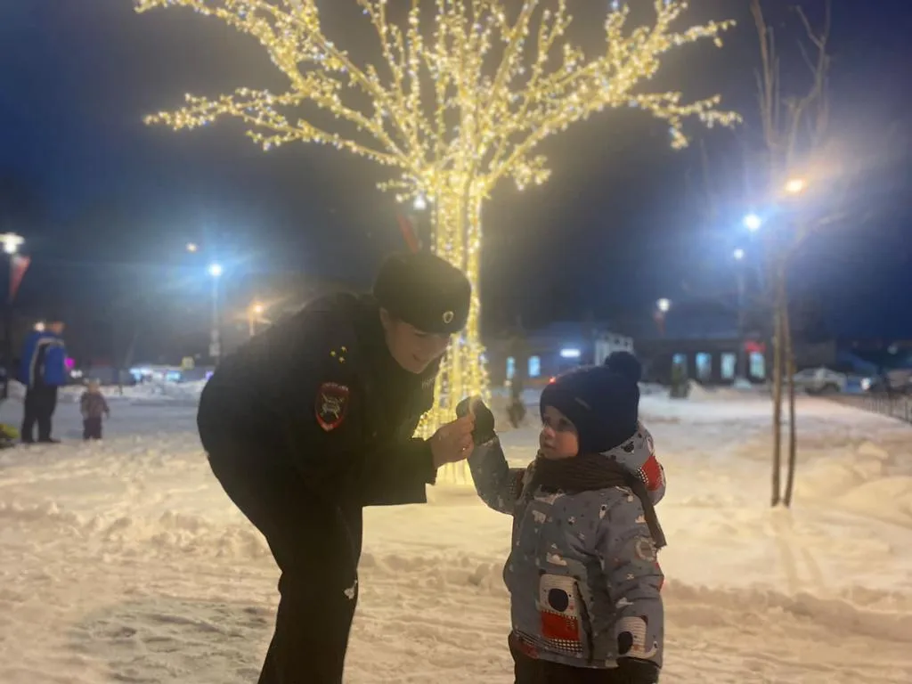 Источник: пресс-служба ОМВД России «Павлово-Посадский»