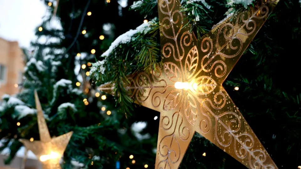 Фото: МАУ «Волок-Медиа»