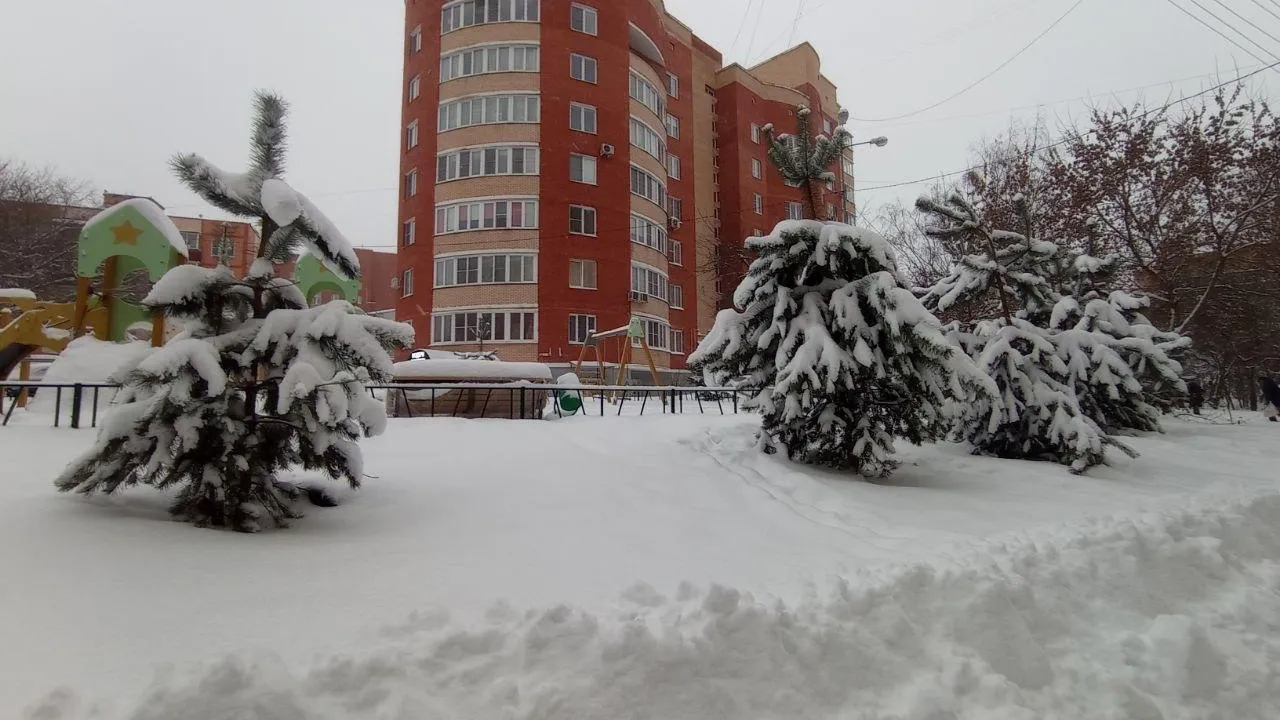 Из архива редакции