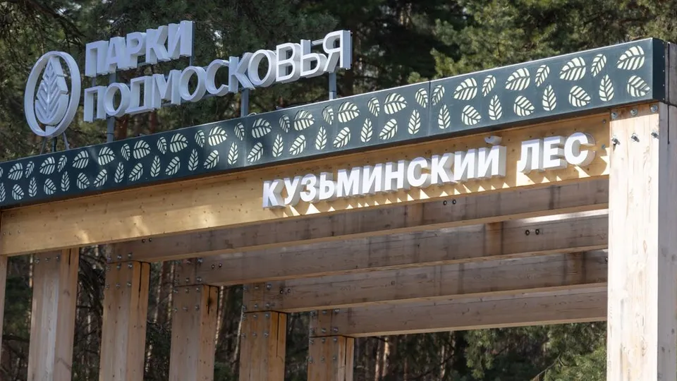 Фото: медиасток.рф