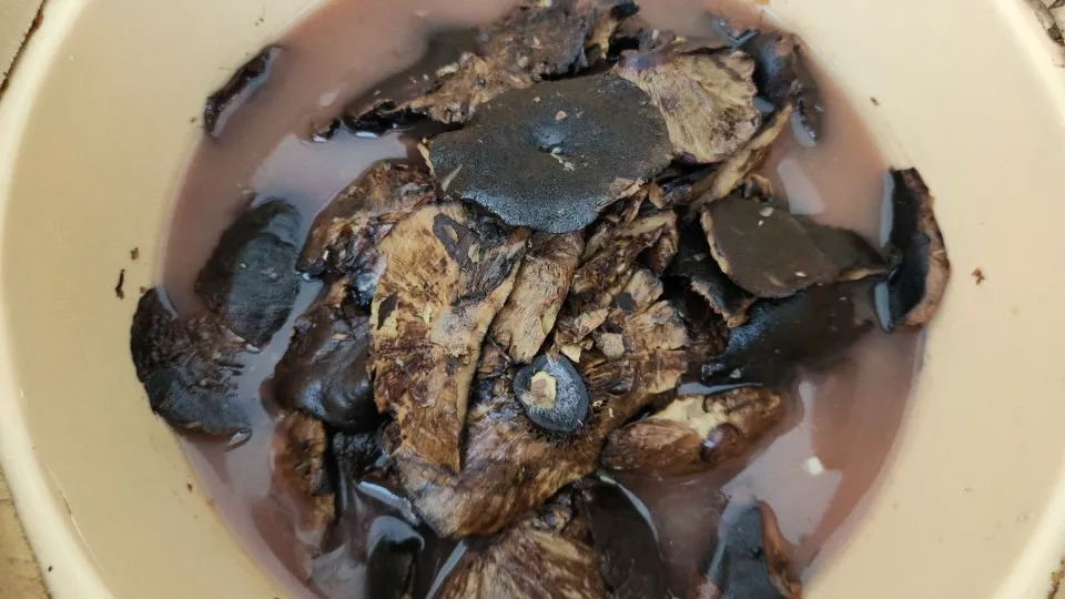 Фото: МедиаБанк Подмосковья/Хавива Фонина